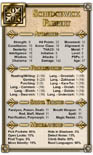 Dungeons & Dragons NPC Cards