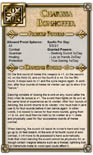 Dungeons & Dragons NPC Cards